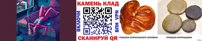 Купить наркотики Валдай OMG зеркало Меф мяу мяу