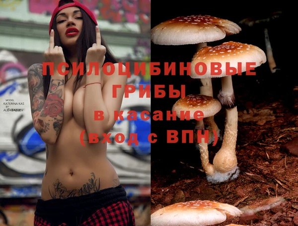 спиды Баксан