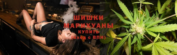 прущие грибы Белоозёрский