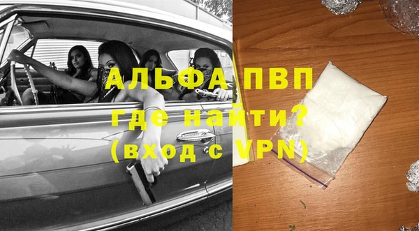 прущие грибы Белоозёрский