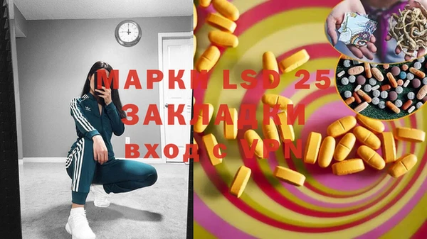 прущие грибы Белоозёрский