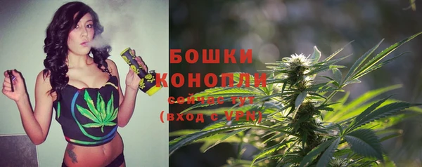 PSILOCYBIN Семёнов