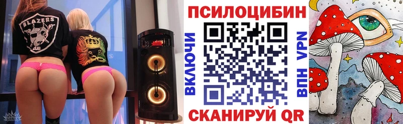 Псилоцибиновые грибы мицелий  где купить   Валдай 